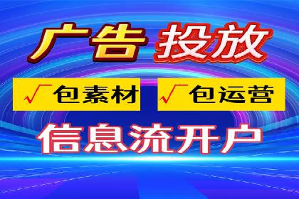 SEM推广策略：成功案例解析
